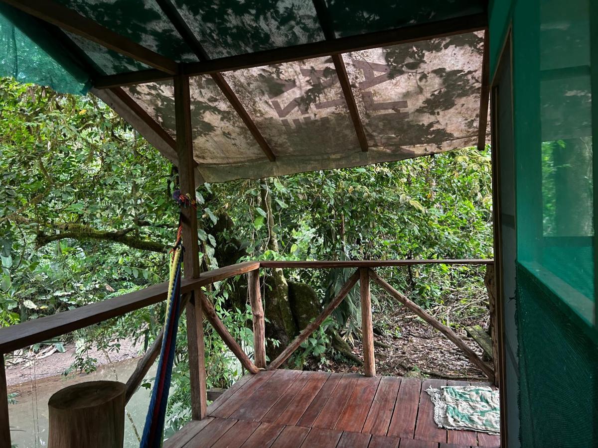 Rio Agujitas Eco Farm Hostel And Tours Drake Bay Exterior photo