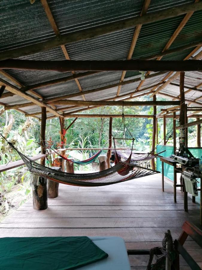 Rio Agujitas Eco Farm Hostel And Tours Drake Bay Exterior photo